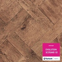 Скотланд 02 (4м) Эволюшен Скотланд 02 (4м) Эволюшен