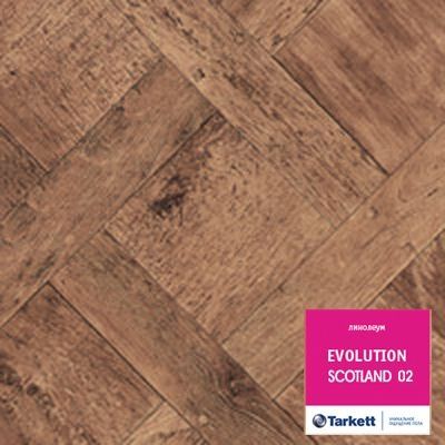 Скотланд 02 (4м) Эволюшен