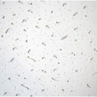 Плита Матрикс 600*600*8 (24шт/8,64м кв) Плита Матрикс 600*600*8 (24шт/8,64м кв)