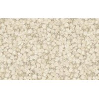 Роза 1 (3м) Флёр Роза 1 (3м) Флёр