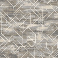 Ковер Принт р2648/а6/124 3,0*4,5 (13,5 кв.м)