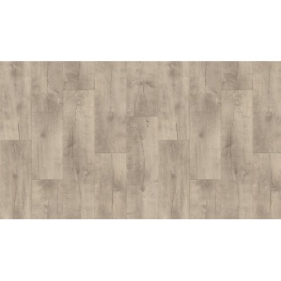 Саратога 1 (1,5м) Гладиатор ~