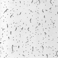 Плита потолочн. из мин. волокна ДОН 595*595 24 шт/уп Плита потолочн. из мин. волокна ДОН 595*595 24 шт/уп