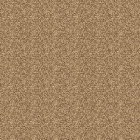 Дорожка 1 м р1399/а5r/103  (25,0 кв.м)