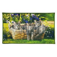 Универсальный коврик SHAHINTEX  FANTASY icarpet 40*60 005 АКЦИЯ