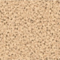 Матисс 551 (1.5м) Парма Матисс 551 (1.5м) Парма