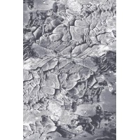 Ковер Бостон 39616/65 овал 2*3 (5,14 кв.м) Ковер Бостон 39616/65 овал 2*3 (5,14 кв.м)