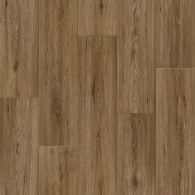 Кассел 3 (3,5м) Дискавери