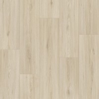 Кассел 1 (2,5м) Дискавери Кассел 1 (2,5м) Дискавери