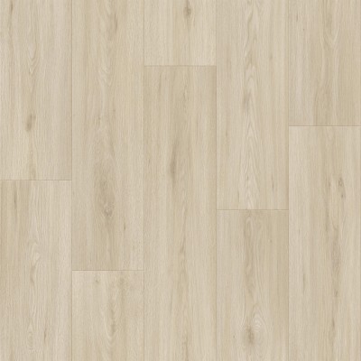 Кассел 1 (2,5м) Дискавери