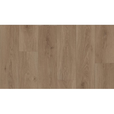 Фрэд 2 (2,5м) Статус