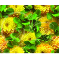 Коврик мерный ПВХ фотопечать 0,65х15 м FV22 Георгины Коврик мерный ПВХ фотопечать 0,65х15 м FV22 Георгины