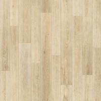 Дункан 1 (4м) Бонус Дункан 1 (4м) Бонус