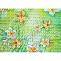 Коврик мерный ПВХ фотопечать 0,65х15 м FV12 Плюмерия Коврик мерный ПВХ фотопечать 0,65х15 м FV12 Плюмерия