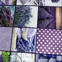 Клеенка "Флориста" 140см*20м Клеенка "Флориста" 140см*20м