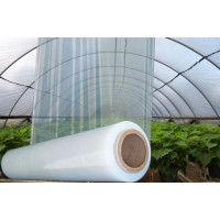 Плёнка 180 мкр. 2,0*50 1 сорт Плёнка 180 мкр. 2,0*50 1 сорт