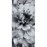 Ковер Бостон 40985/68 0,8*1,5 (1,2 кв.м) Ковер Бостон 40985/68 0,8*1,5 (1,2 кв.м)