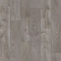 Картер 1 (4м) Фаворит Картер 1 (4м) Фаворит