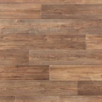 Торонто 2 (3,5м) Весна Торонто 2 (3,5м) Весна