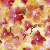 Клеенка ПВХ "Фантазия" 1,38х25м 10FA Клеенка ПВХ "Фантазия" 1,38х25м 10FA