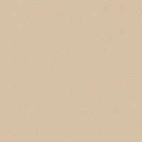 Aspect 5 (3,0м) acczent pro (3 х6,58) ( 19,74.мкв) Aspect 5 (3,0м) acczent pro (3 х6,58) ( 19,74.мкв)