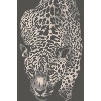 Ковер Сити f3898/а1/ct 1,6*2,3 (3,68 м2) Ковер Сити f3898/а1/ct 1,6*2,3 (3,68 м2)