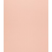 Мини Ролета Лайт 42,5*175 пудра ГП Мини Ролета Лайт 42,5*175 пудра ГП